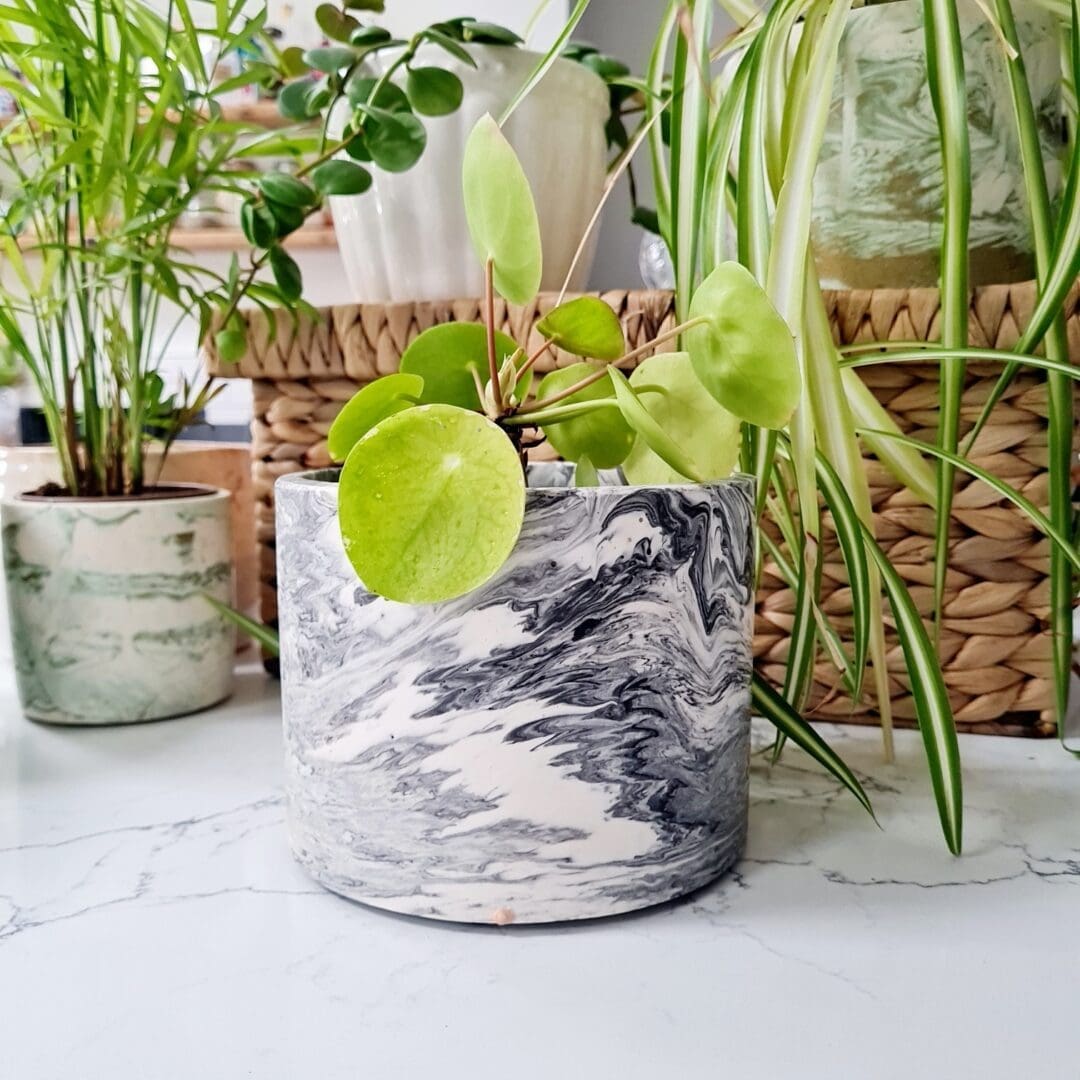 Vase Ideas for Halloween image