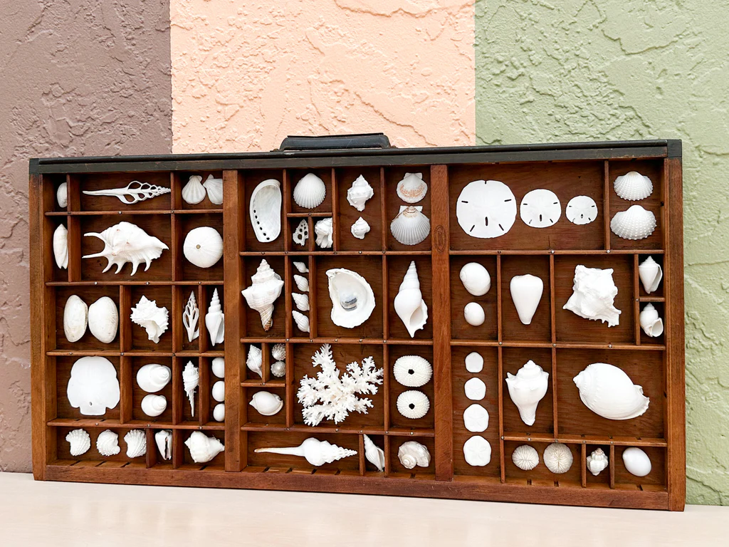 Seasonal Display