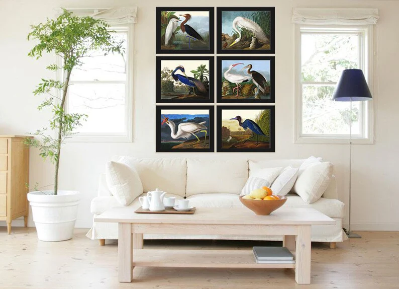 Audubon Bird Art Gallery Wall image