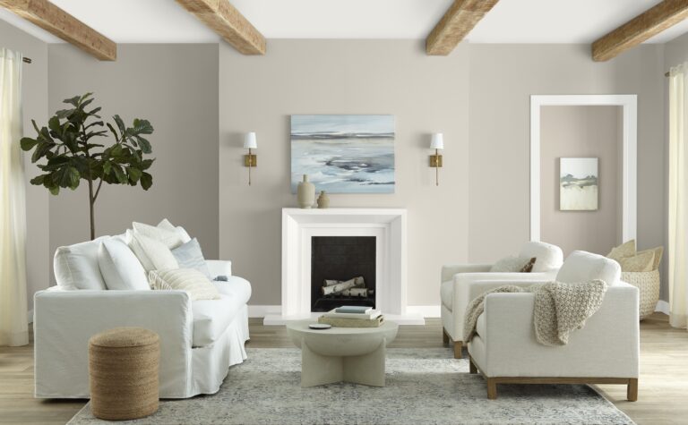 Perfect Gray Paints image