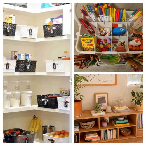 Organization Projects image