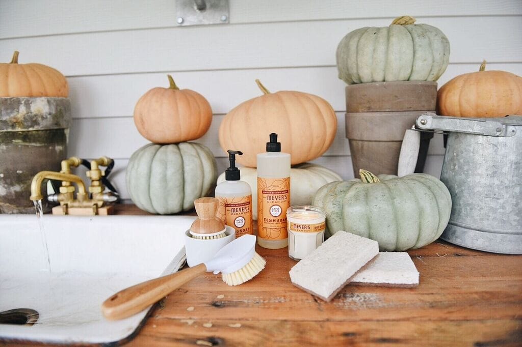 How to Keep Pumpkins from Rotting image