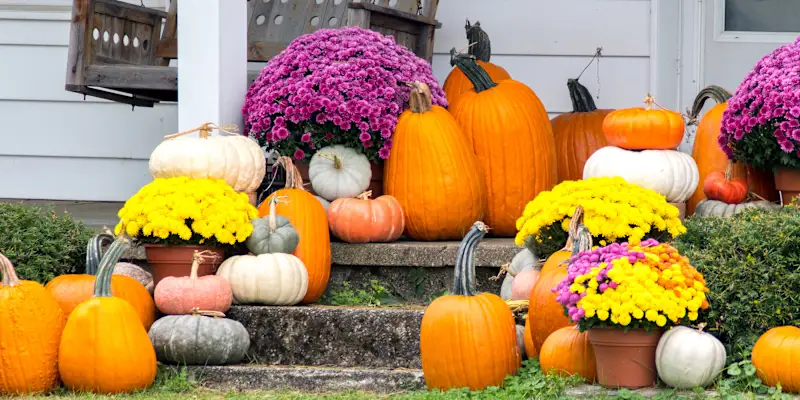 How to Keep Pumpkins from Rotting